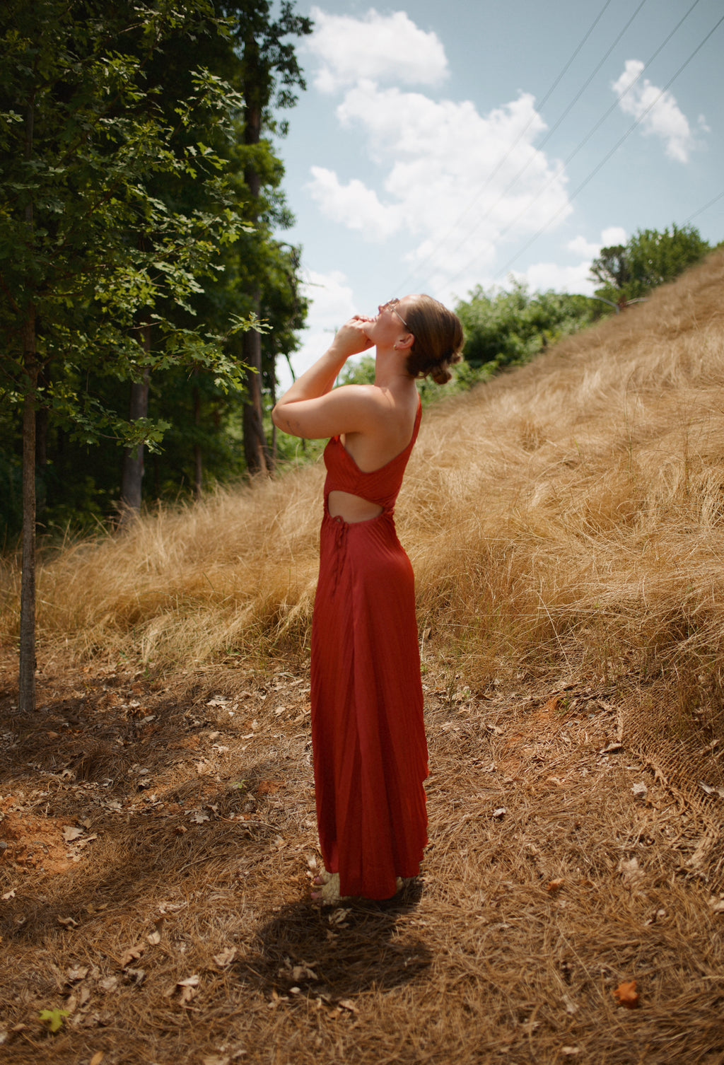 Nova Pleated Dress
